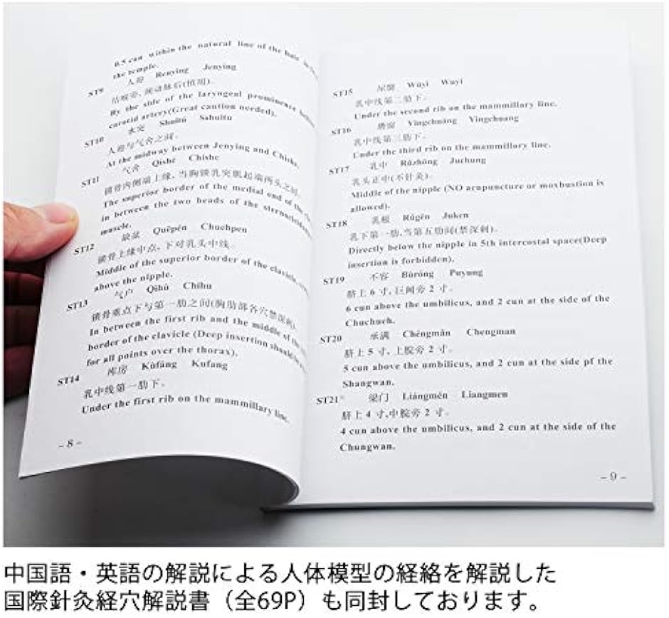 人体模型 ツボ 針灸 鍼灸経穴模型 経絡 モデル 整体 マッサージ 学習用 52.5cm 女性 タイプ(女性 ソフトビニール タイプ) :  2b8q969jwo : ゼブランドショップ - 通販 - Yahoo!ショッピング