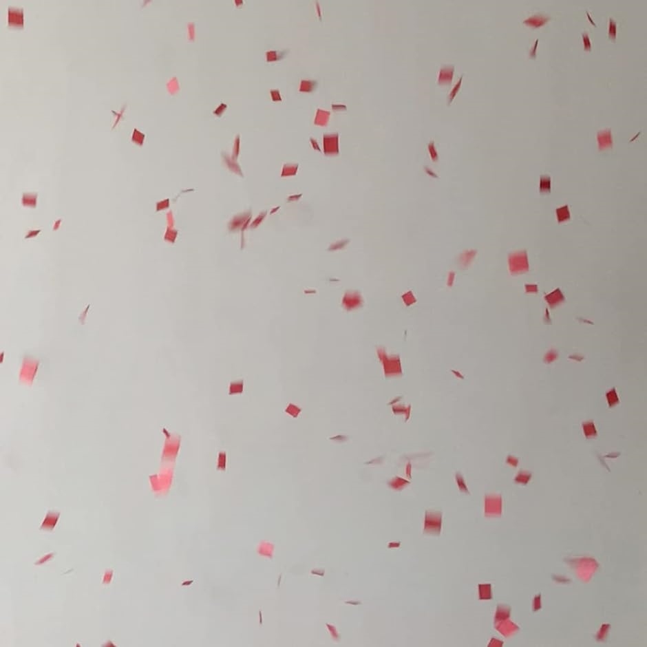 プロマジシャン用 赤色 レッド 紙吹雪 パーティー ストーム 約26.5g お祝い( レッド（赤色）,  12.0x10.5m m)｜zebrand-shop｜03