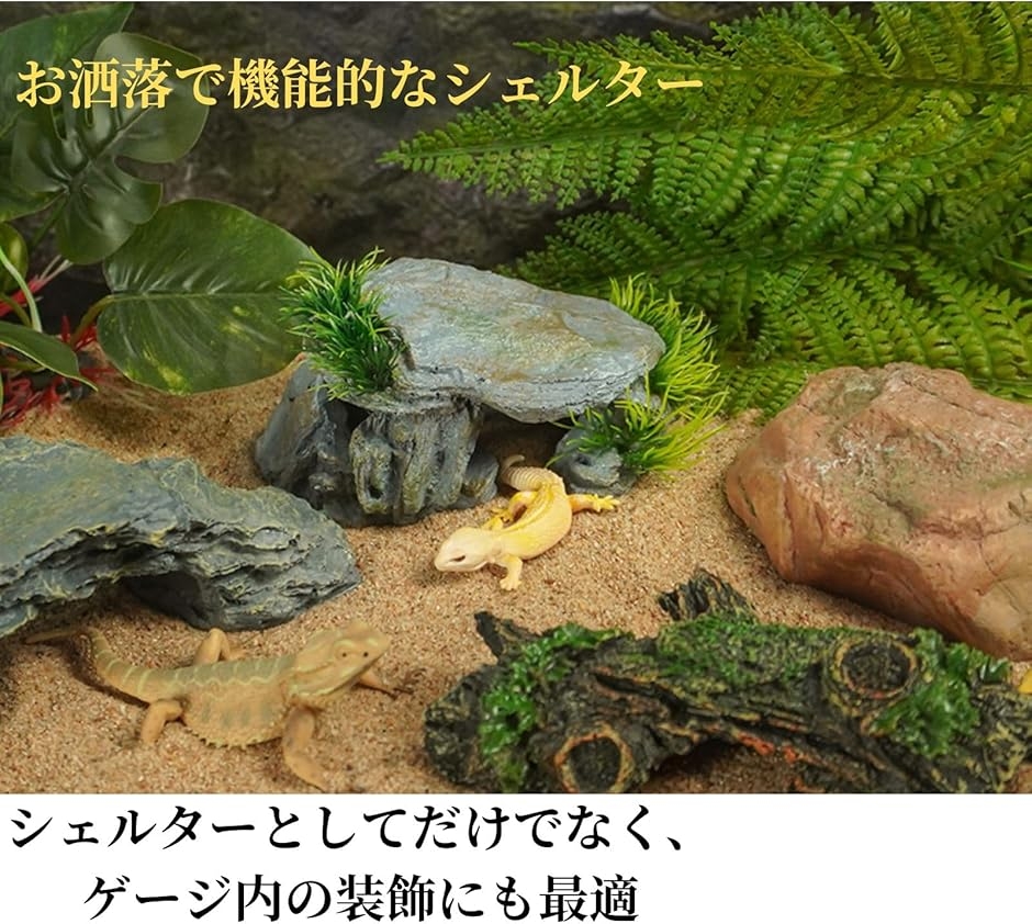 爬虫類 シェルター イモリ 隠れ家 トカゲ 洞窟 亀浮島 ヤモリ レオパ