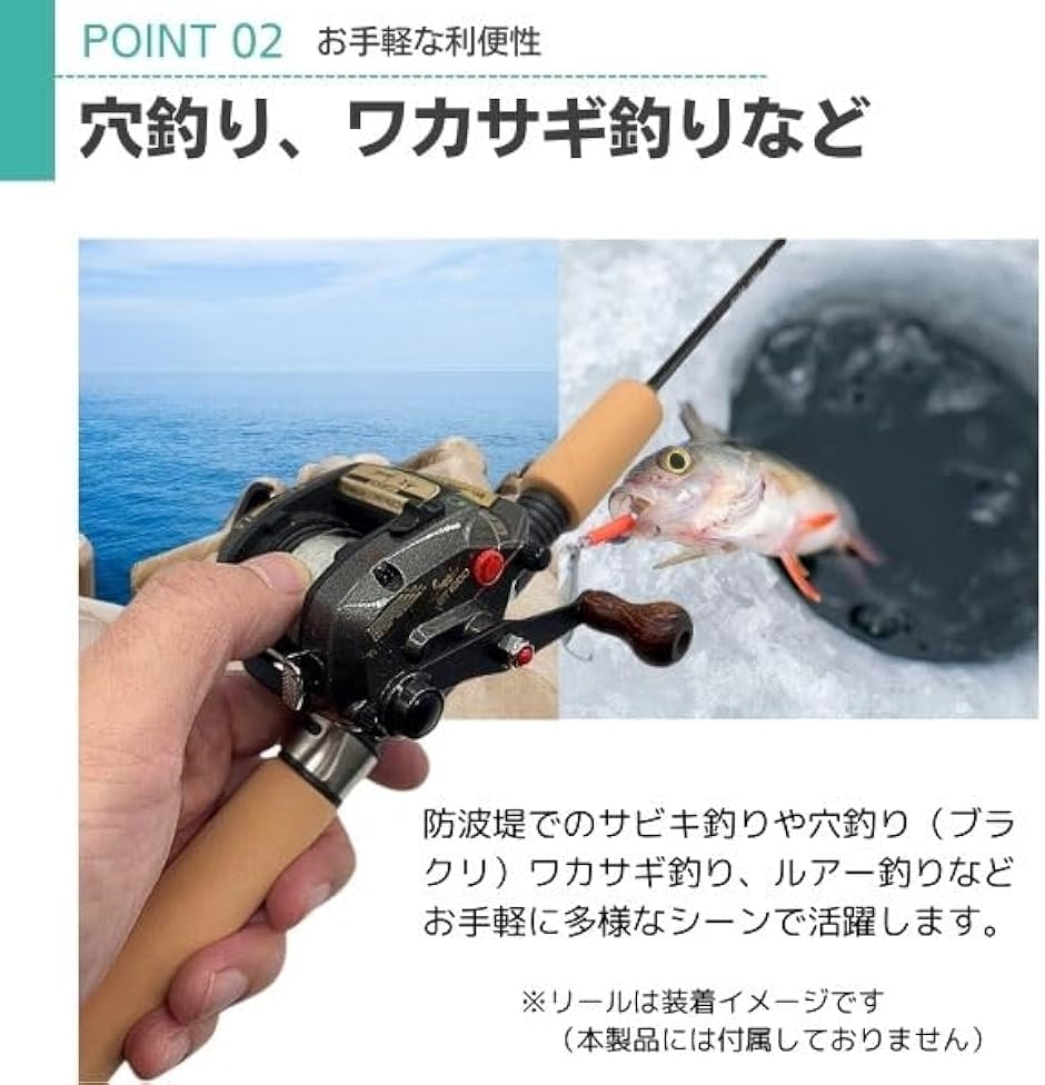 釣り竿 釣竿 コンパクト ロッド 穴釣り ワカサギ ルアー サビキ(65cm2