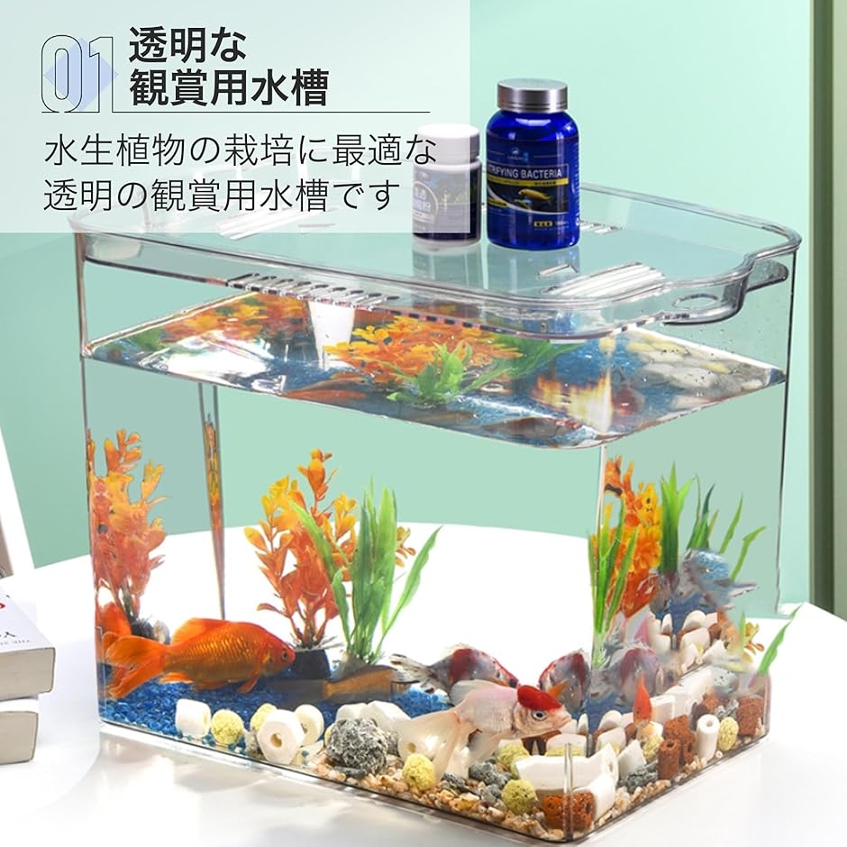 水槽用具各種 GEX 金魚元気 ぶくぶくクリア300 幅31．5×奥行16×高