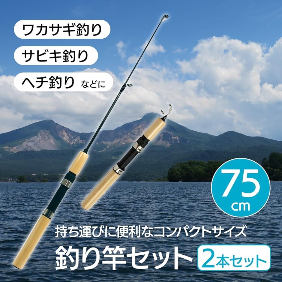 Amazon | ヘチ釣り セット！CB 海将落とし込み黒鯛 630＆閃斬