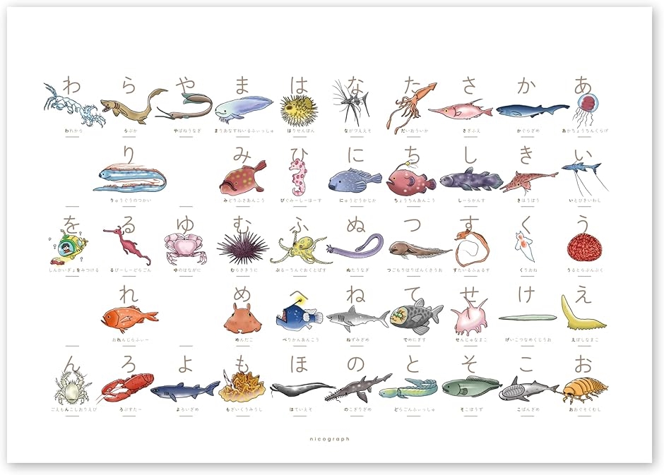 Yahoo! Yahoo!ショッピング(ヤフー ショッピング)深海魚あいうえお 深海魚のひらがな表 50音表 A3サイズ マグネットハンガーなし こだわりあいうえお（白（ハンガーなし）,  A3）