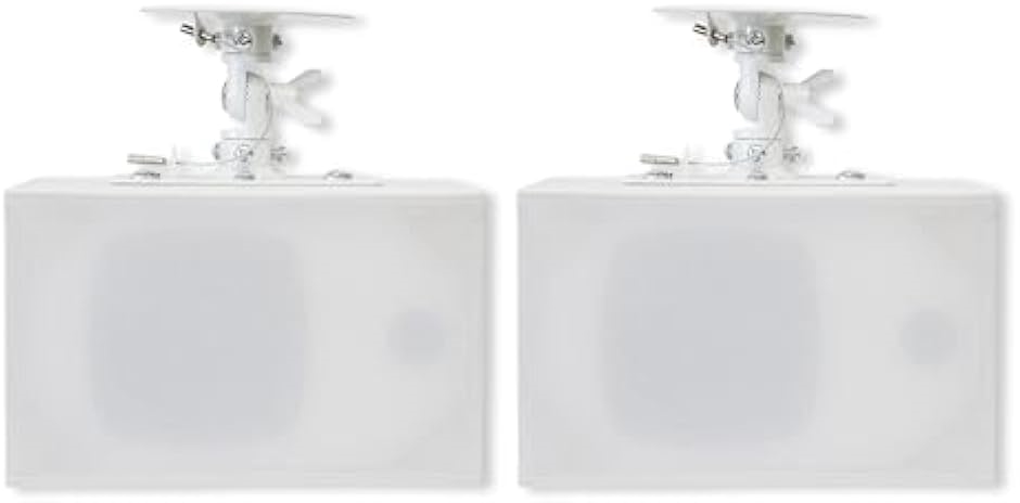 ダイトーボイス 天吊りスピーカー DVT-WD1 シングルスピーカー壁掛け