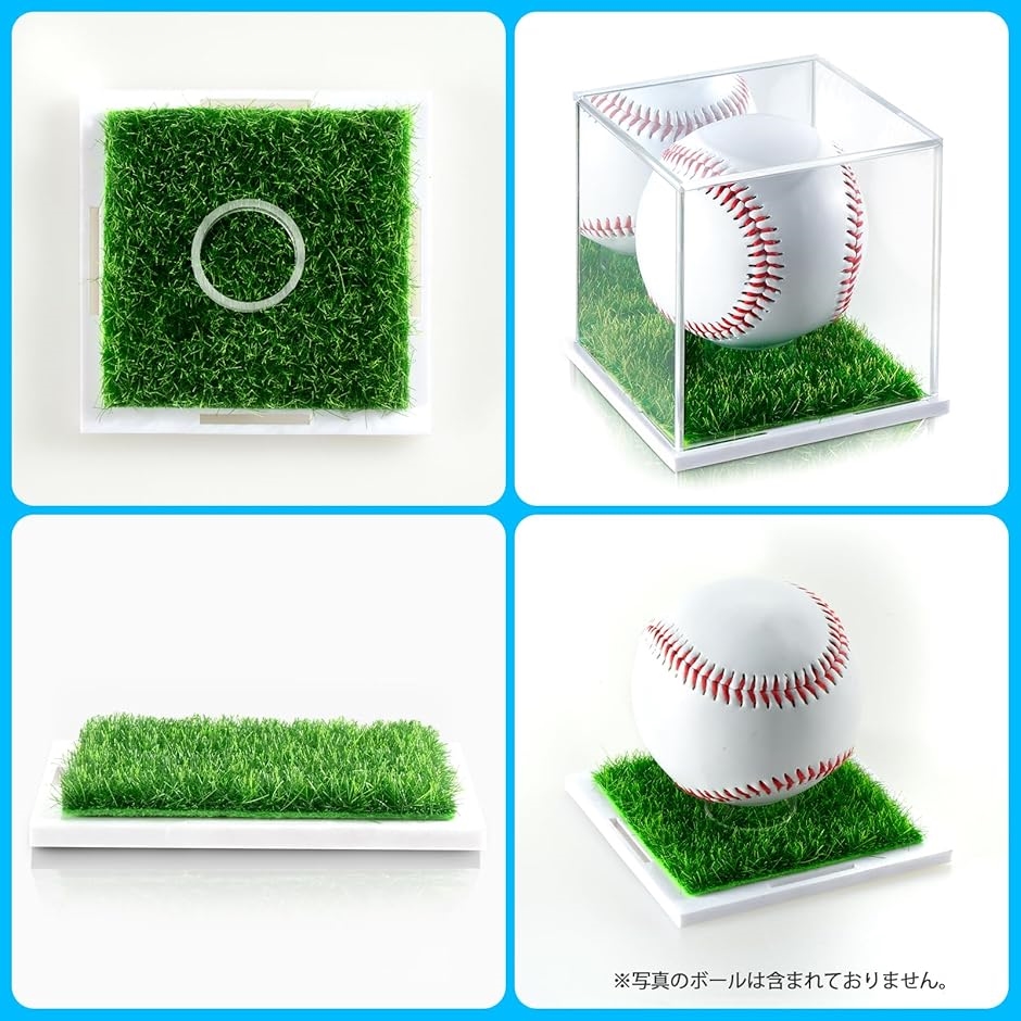 サインボールケース 人工芝 ミラー付き ゴルフ 野球 ホームランボール