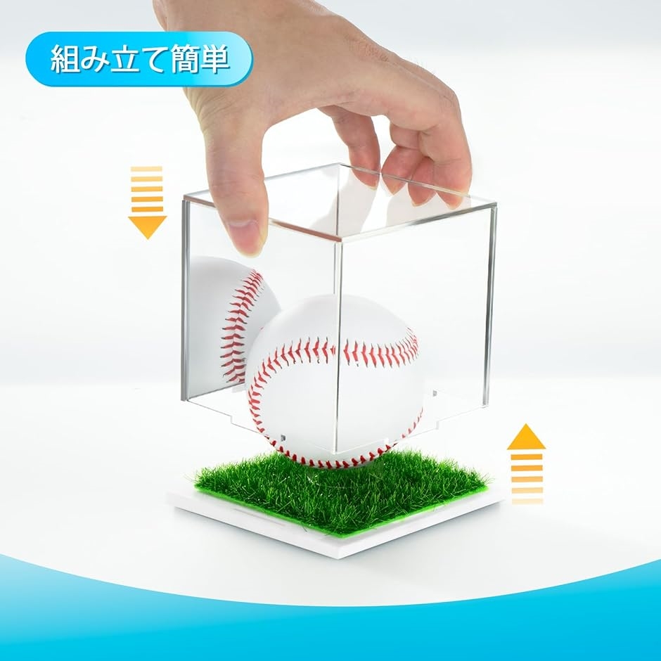 サインボールケース 人工芝 ミラー付き ゴルフ 野球 ホームランボール