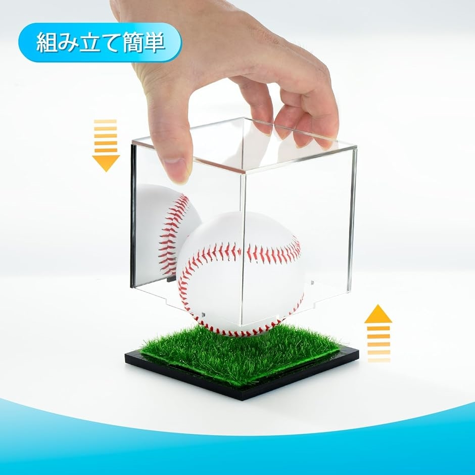 サインボールケース 人工芝 ミラー付き ゴルフ 野球 ホームランボール