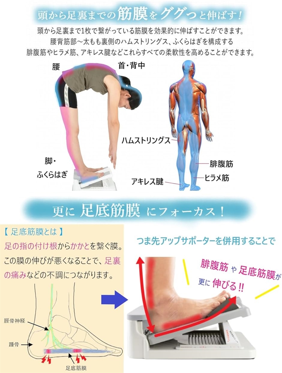 筋トレ器具 5点セット 膝の保護マット付き 最適 de026.jpg