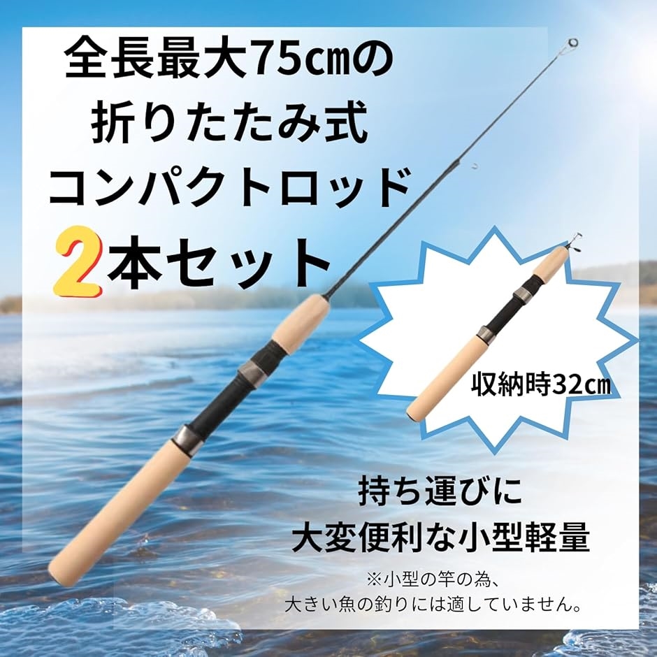 釣り竿 コンパクトロッド 2本セット 折りたたみ 穴釣り ルアー 釣竿 
