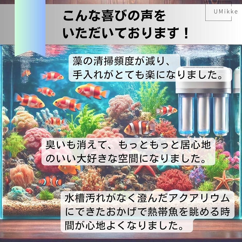 ada 水槽の商品一覧 通販 - Yahoo!ショッピング