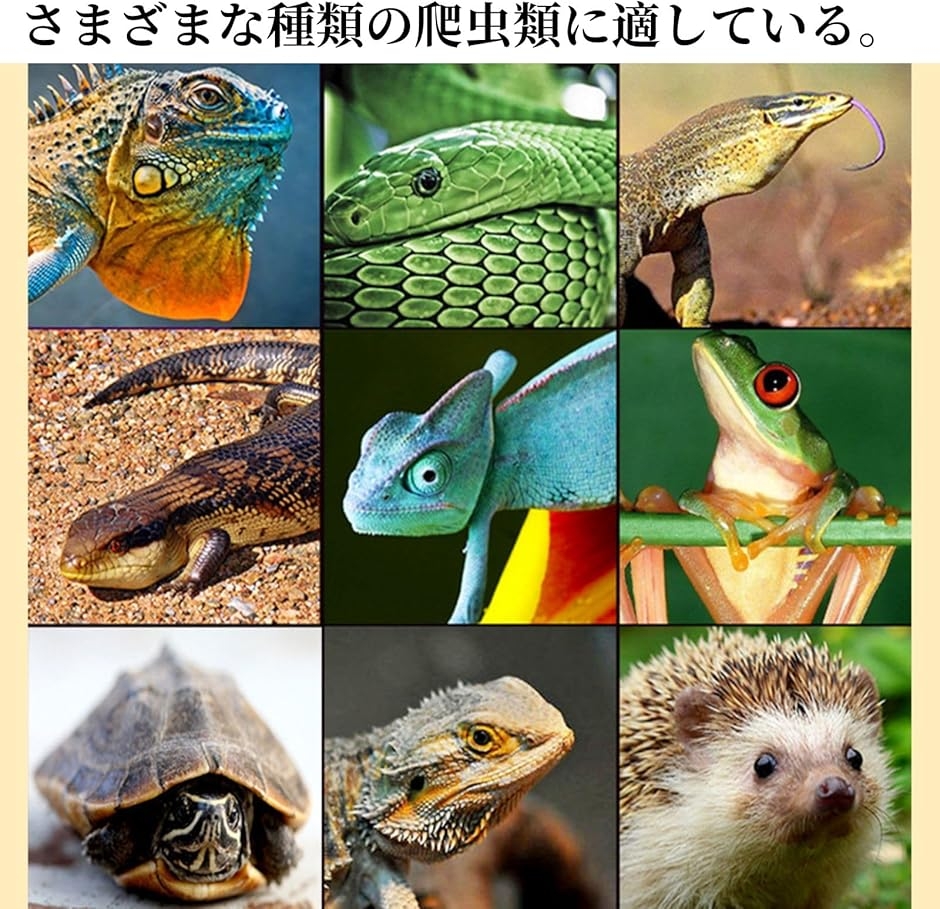 爬虫類/ライト/赤外線ライト/床暖 赤外線照射スポットランプ 保温球です 爬虫類 赤い光 暖房ライト