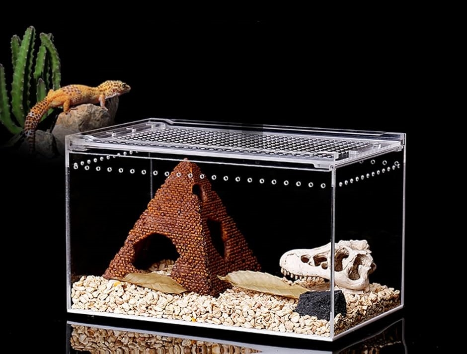 Amazon | スドー レオパ飼育セット キット 爬虫類 ヤモリ ガラス