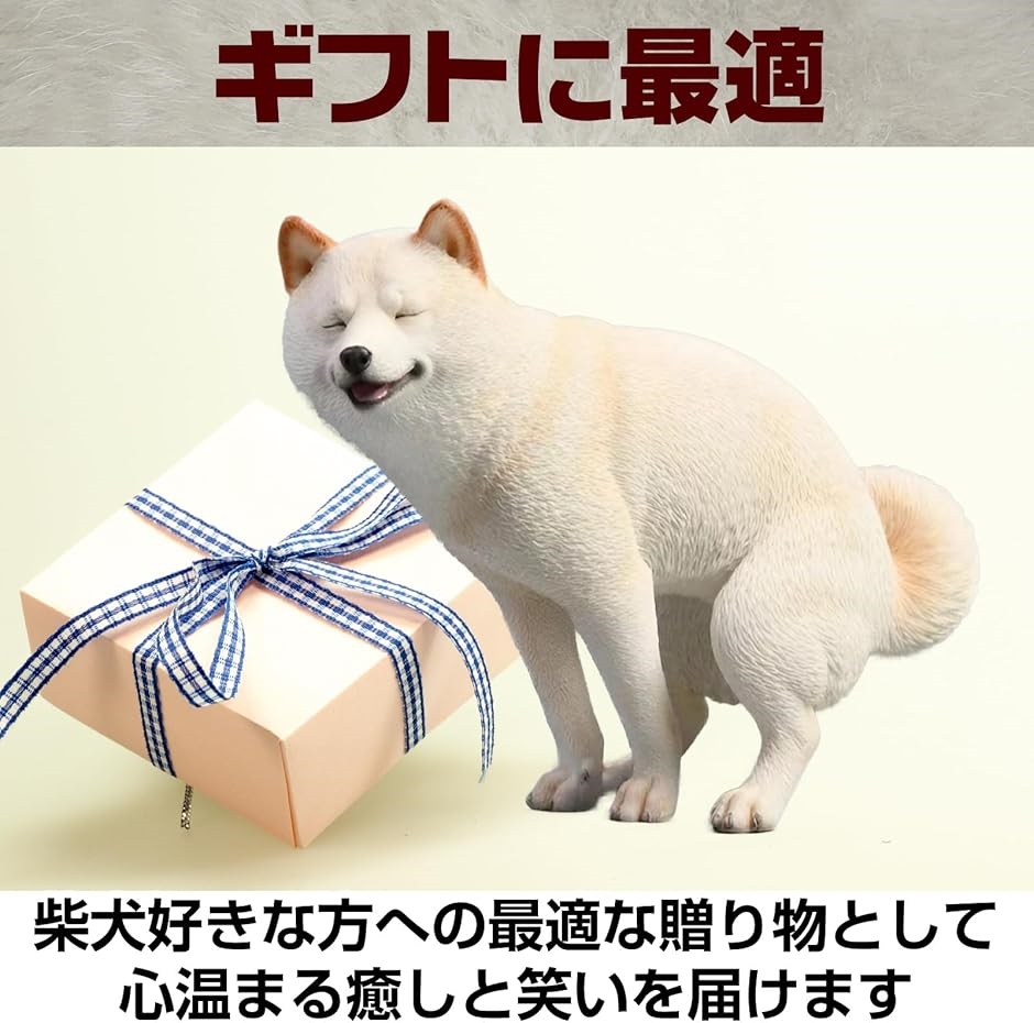 柴犬 シバイヌ 可愛い 滑稽 動物 リアル フィギュア 白毛の柴犬(白毛の