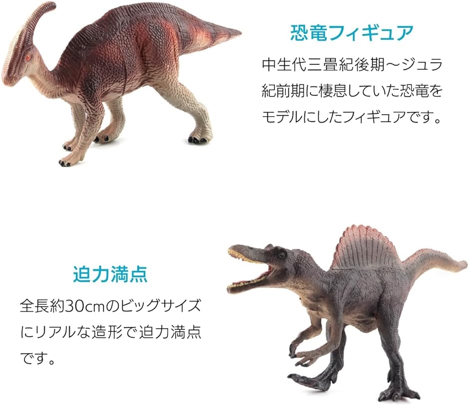リアル 恐竜 模型 大型 フィギュア 迫力 PVC製( マルチカラー,  中)｜zebrand-shop｜03