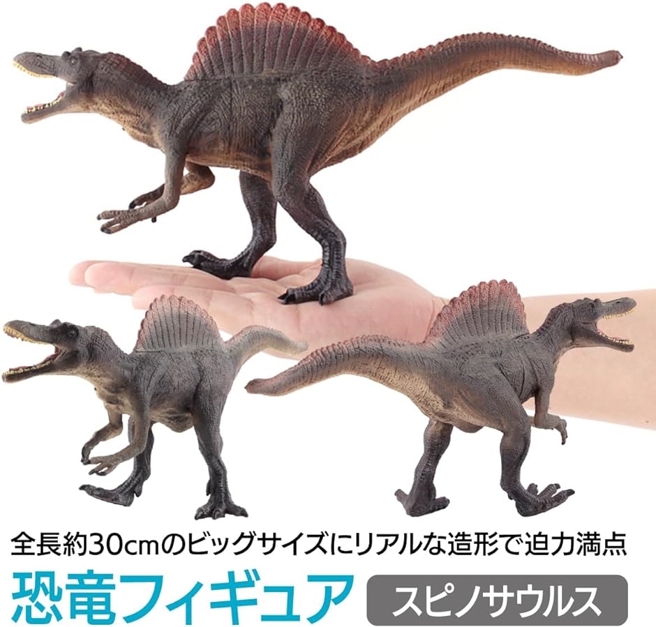 リアル 恐竜 模型 大型 フィギュア 迫力 PVC製 グレー スピノサウルス( マルチカラー,  中)｜zebrand-shop｜02
