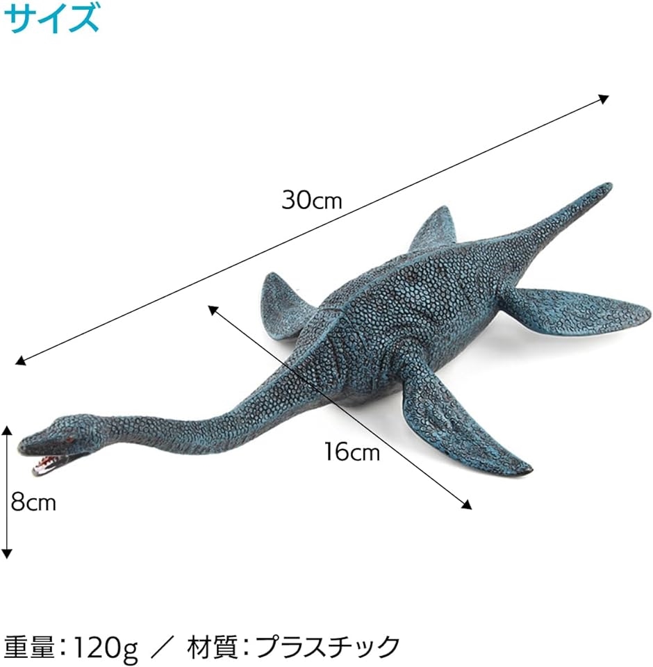 リアル 恐竜 模型 大型 フィギュア 迫力 PVC製( マルチカラー,  中)｜zebrand-shop｜05