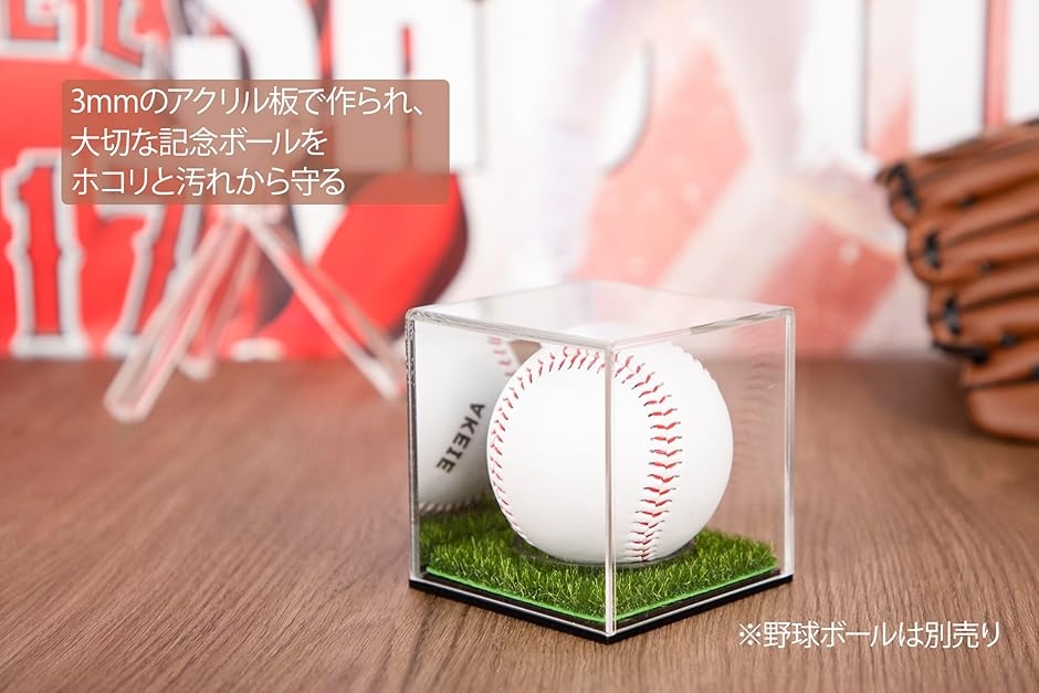 野球ボールケース サインボールケース ミラー付き 芝生付き 野球