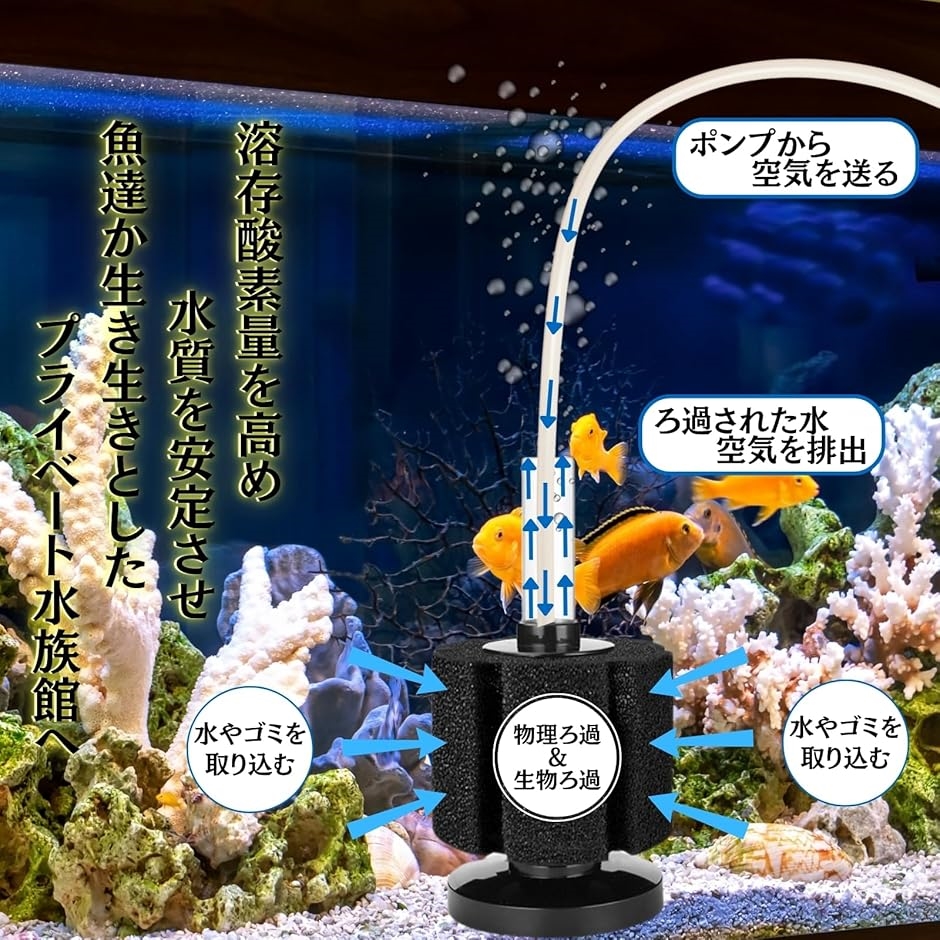 スポンジフィルター 投げ込み式フィルター エアー 水槽 メダカ 金魚