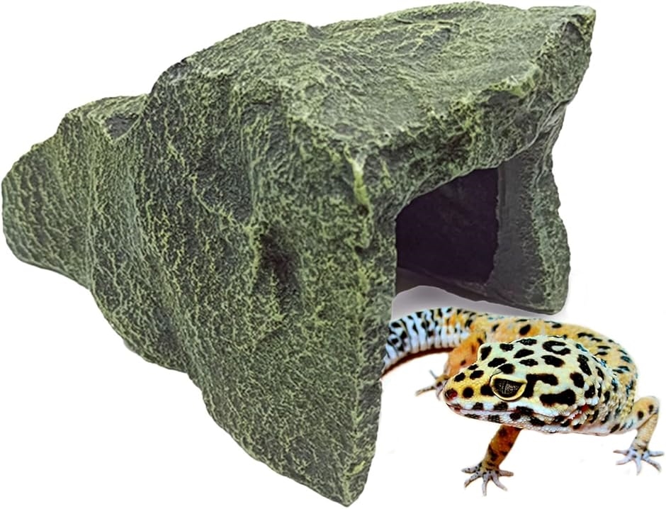 y݊iz ঒ VF^[ Ip gJQ Jiwr  bNVF^[  O B (O[)