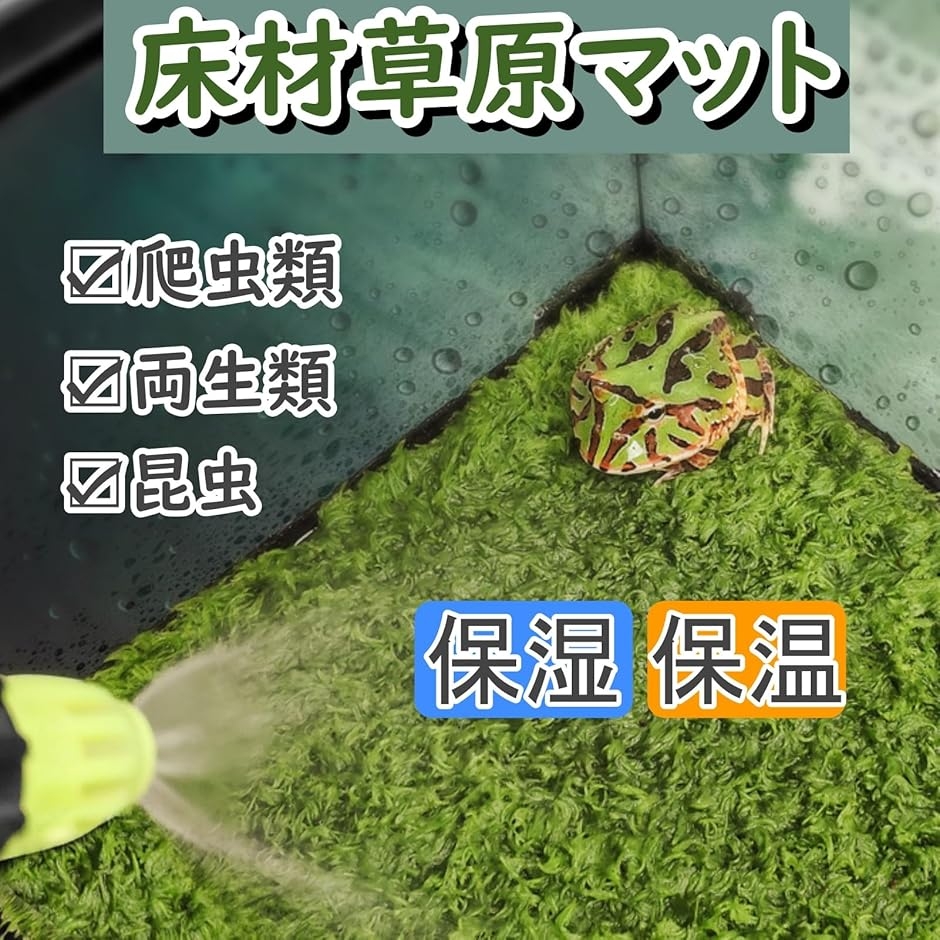 爬虫類 床材 マット 保温 保湿 シート 飼育 緑 テラリウム a174