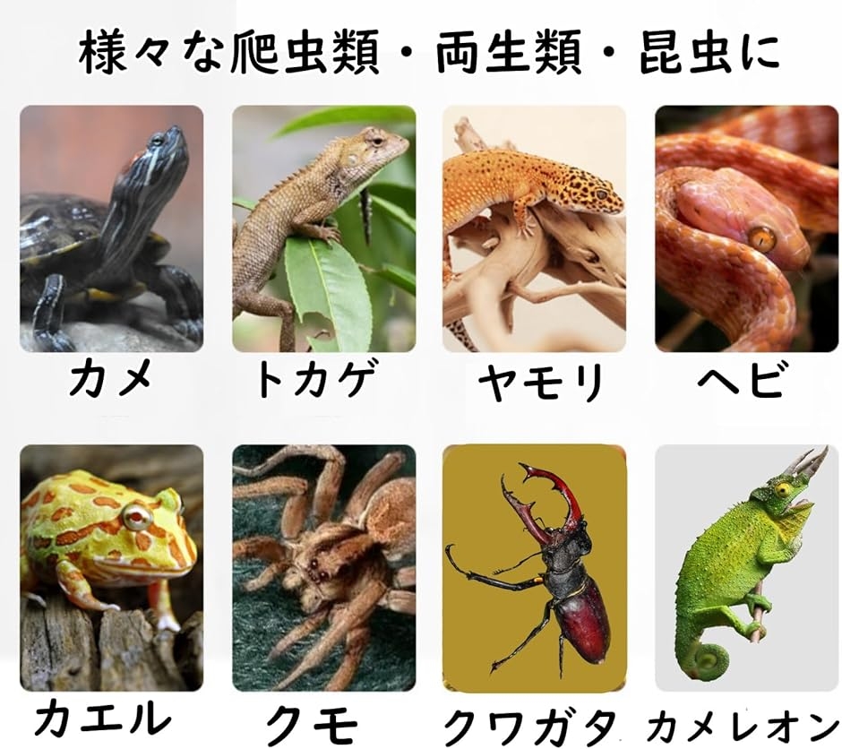 爬虫類 床材 マット 保温 保湿 シート 飼育 緑 テラリウム a174
