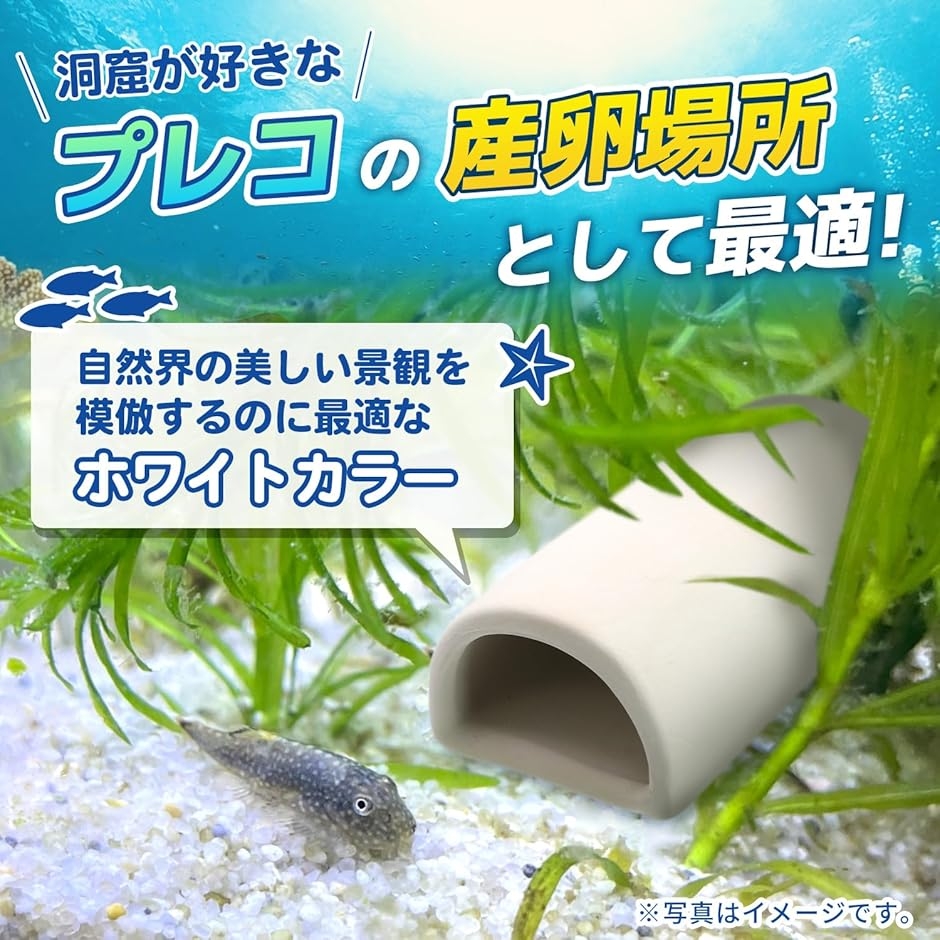産卵筒 陶器 熱帯魚 プレコ エビ 白砂 サンゴ トンネル シェルター