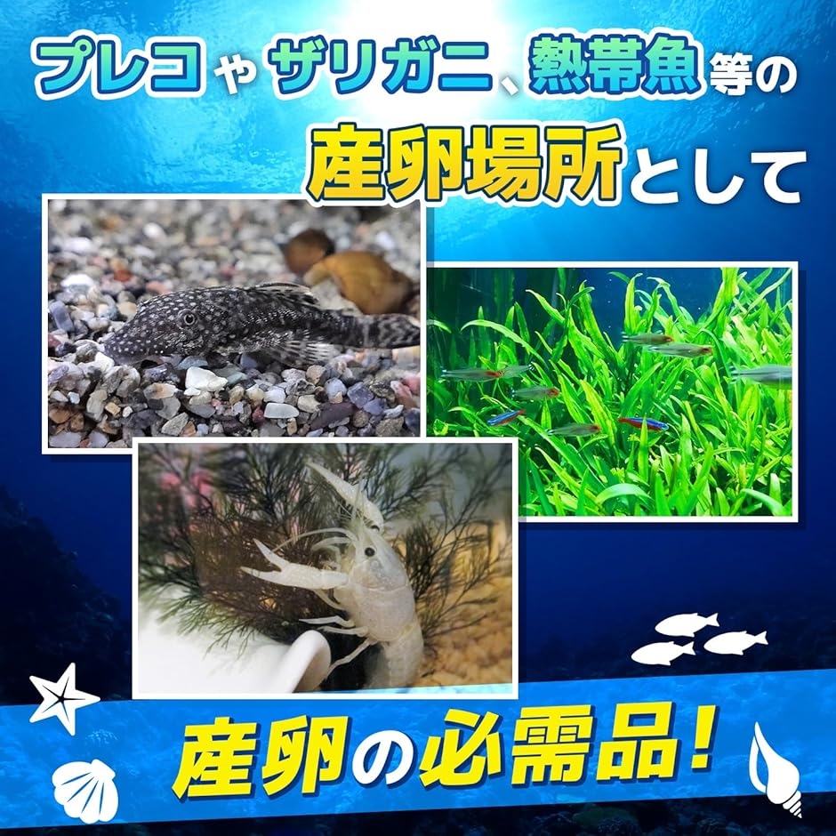 産卵筒 陶器 熱帯魚 プレコ エビ 白砂 サンゴ トンネル シェルター