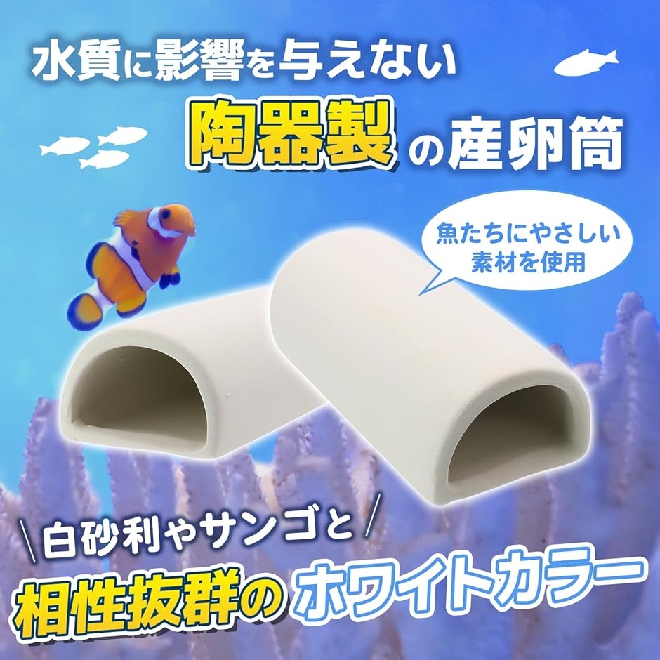 産卵筒 陶器 熱帯魚 プレコ エビ 白砂 サンゴ トンネル シェルター