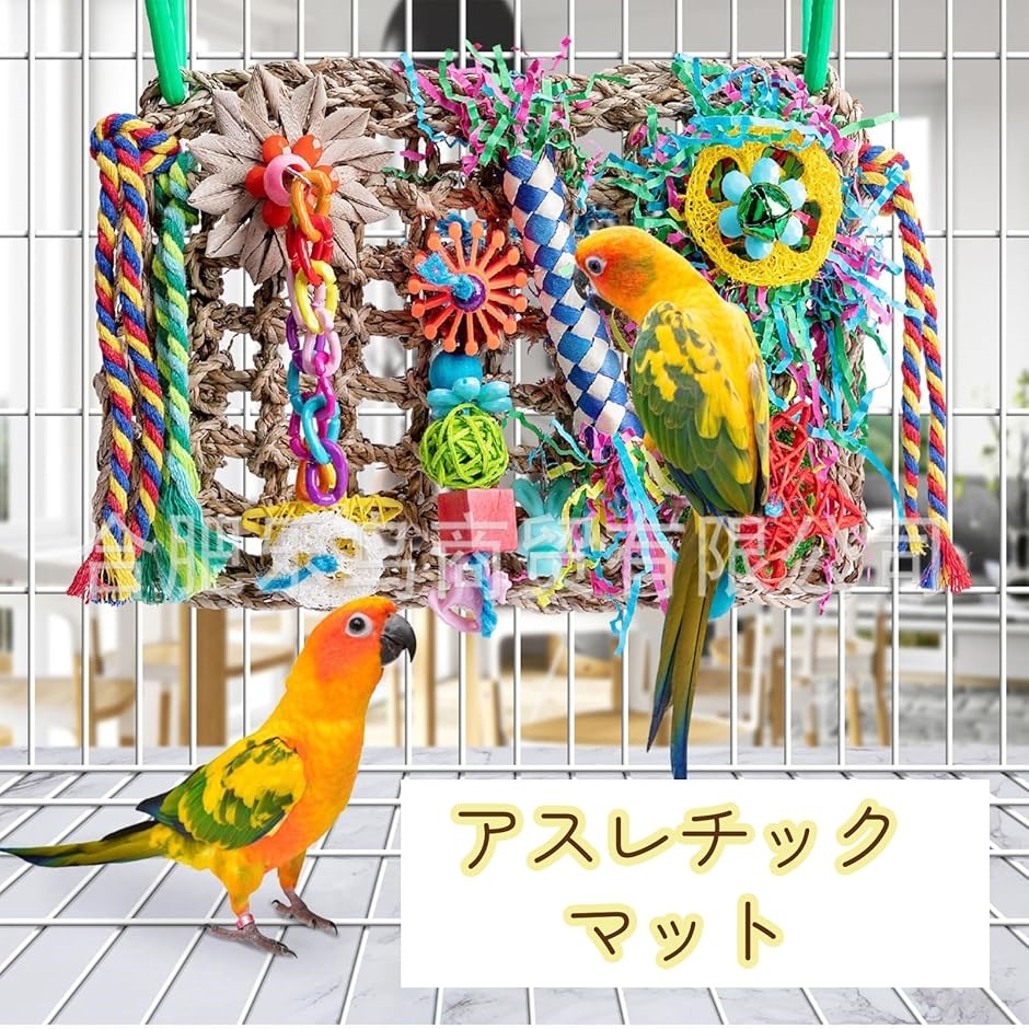 オカメインコ おもちゃの商品一覧 通販 - Yahoo!ショッピング
