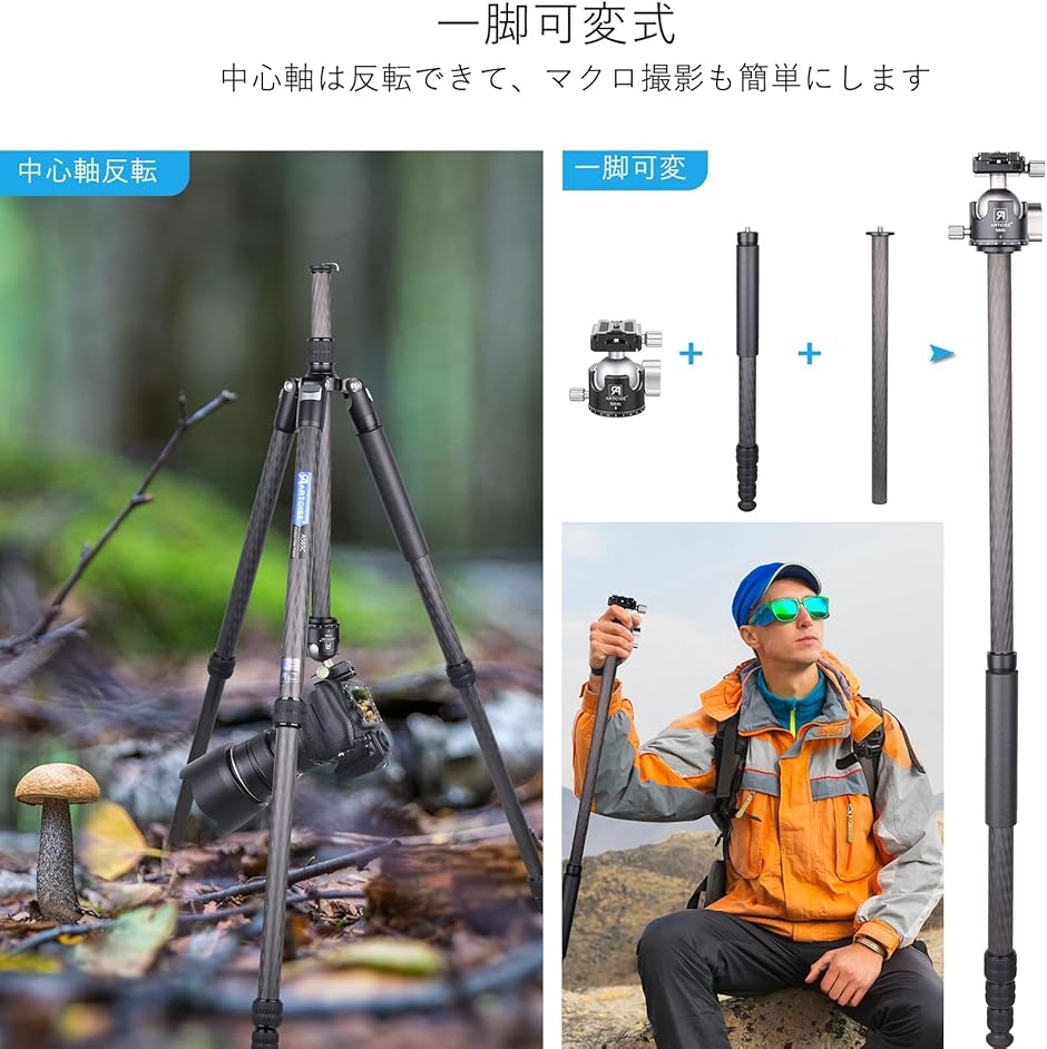 アルカスイス互換クイックシュー カーボン三脚+低重心ボール雲台キット