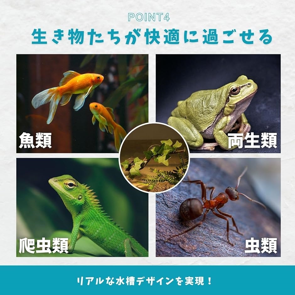 人工水草 吸盤 爬虫類 レイアウト 流木 テラリウム アクアリウム