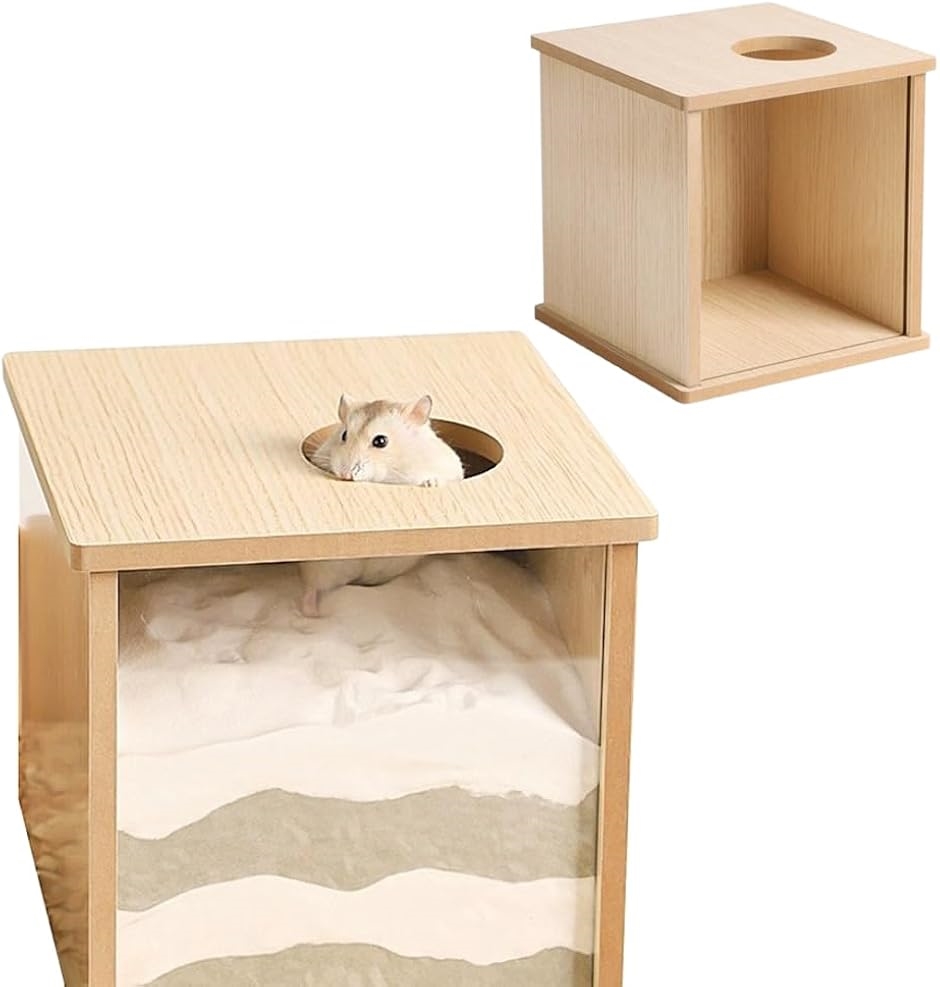 nX^[ у``nEX  B C bgnEX ؐ 20x20x20cm(ؖڒ)