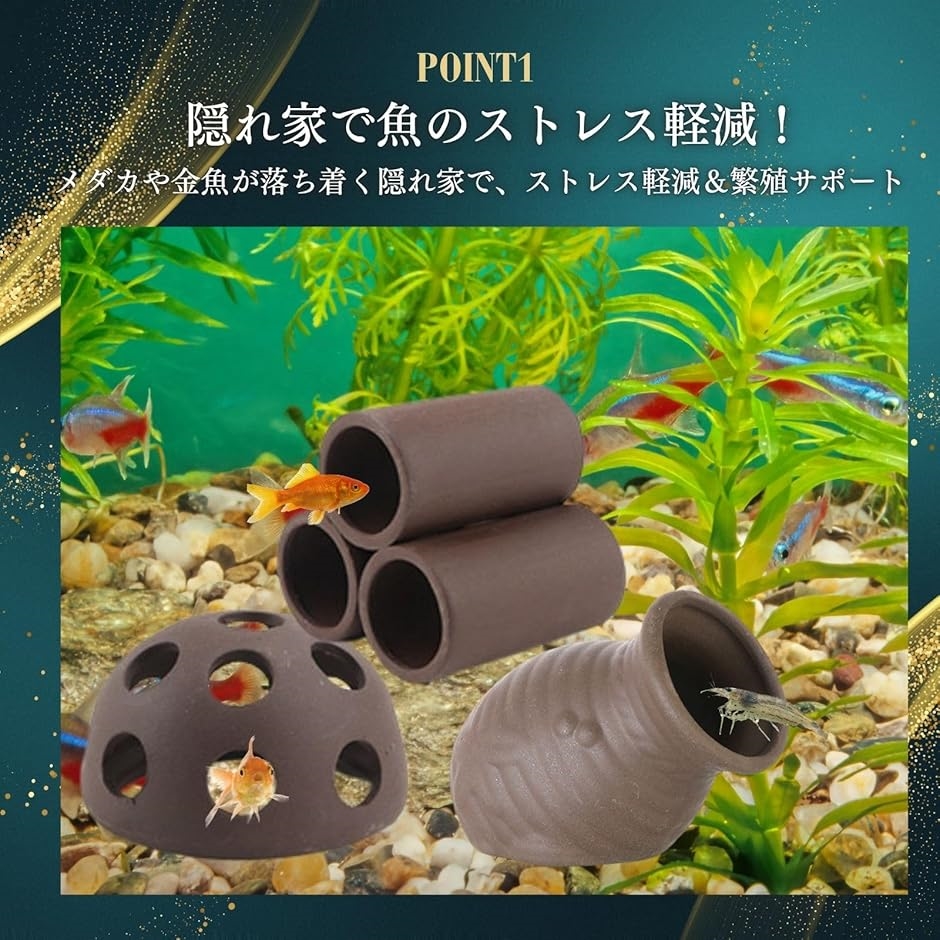 楽天市場】ウーパールーパーの基本飼育セット 関東当日便 : charm 楽天市場店