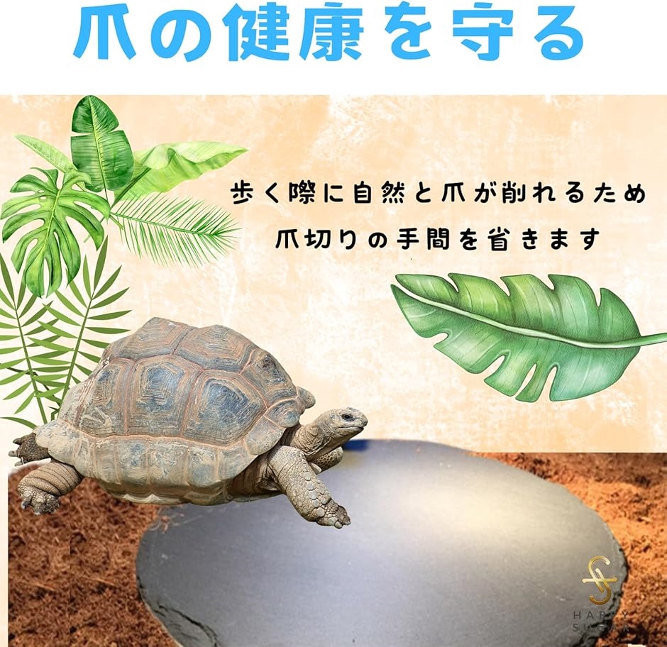 亀 乾燥ボード 爬虫類 床材 溶岩プレート 陸地 丈夫 保温 保湿 天然 爪