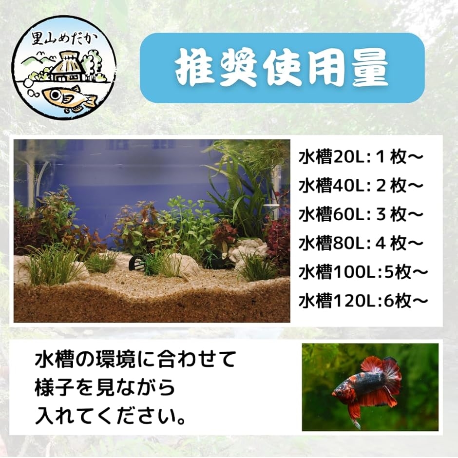 マジックリーフ モモタマナ 国産 水質改善 ベタリーフ メダカ 軟水葉