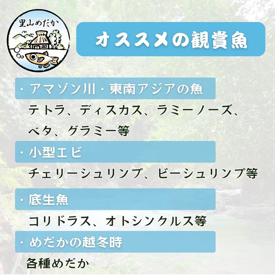 マジックリーフ モモタマナ 国産 水質改善 ベタリーフ メダカ 軟水葉
