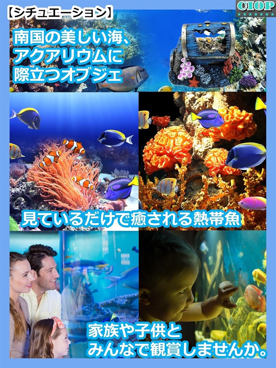 水槽 オブジェ 宝箱 02 財宝 サンゴ アクアリウム オーナメント