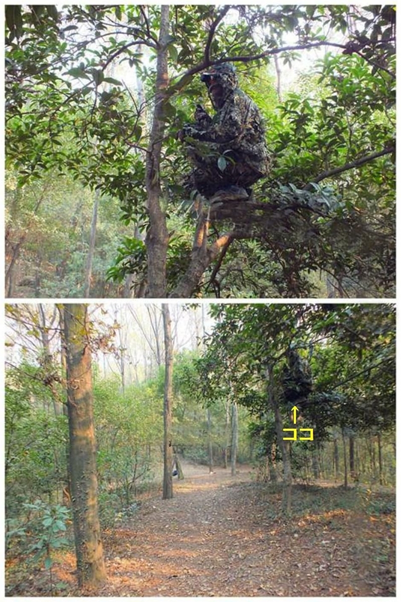 ギリースーツのおすすめ人気商品一覧 通販 - Yahoo!ショッピング