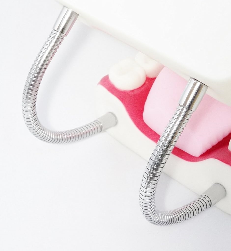 シーエムワイ セレクト 歯 模型 歯列模型 歯模型 大型 モデル 無段階 開閉式 歯ブラシ MDM( 歯ブラシセット,  1個 (x 1))｜zebrand-shop｜04