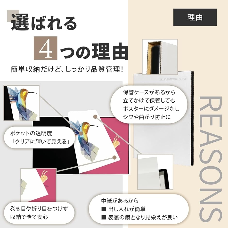 B2 ポスター ファイル 収納20枚 中紙・収納ケース付GWB2F-20(黒, 10