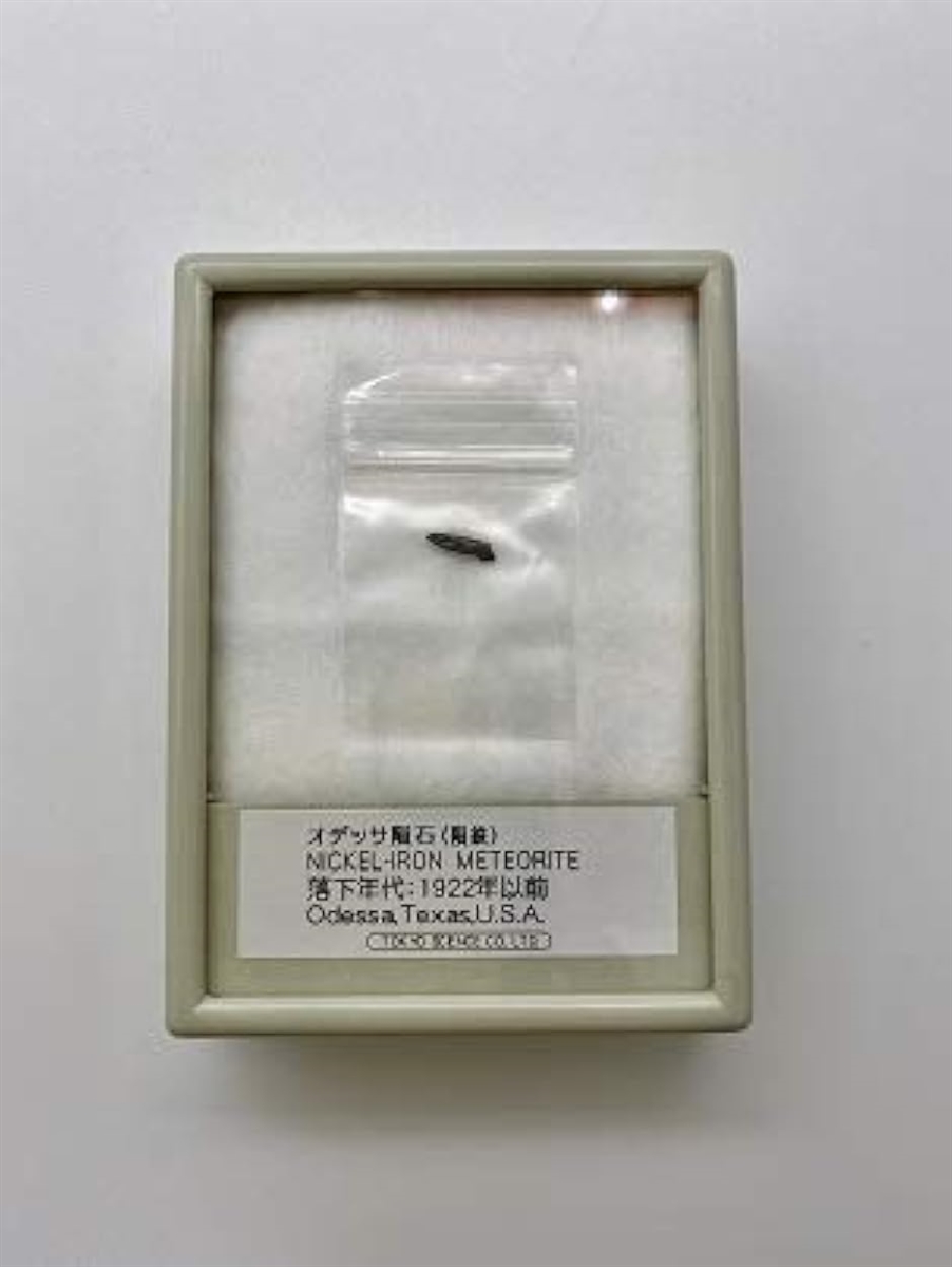 IfbT覐ΕW{ 覓S Odessa