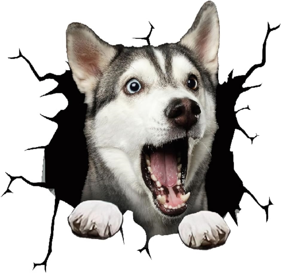 ステッカー 壁紙 車 犬 マット 壁紙シール アウトドア リアル 面白い 雑貨 カーステッカー シベリアンハスキー｜zebrand-shop