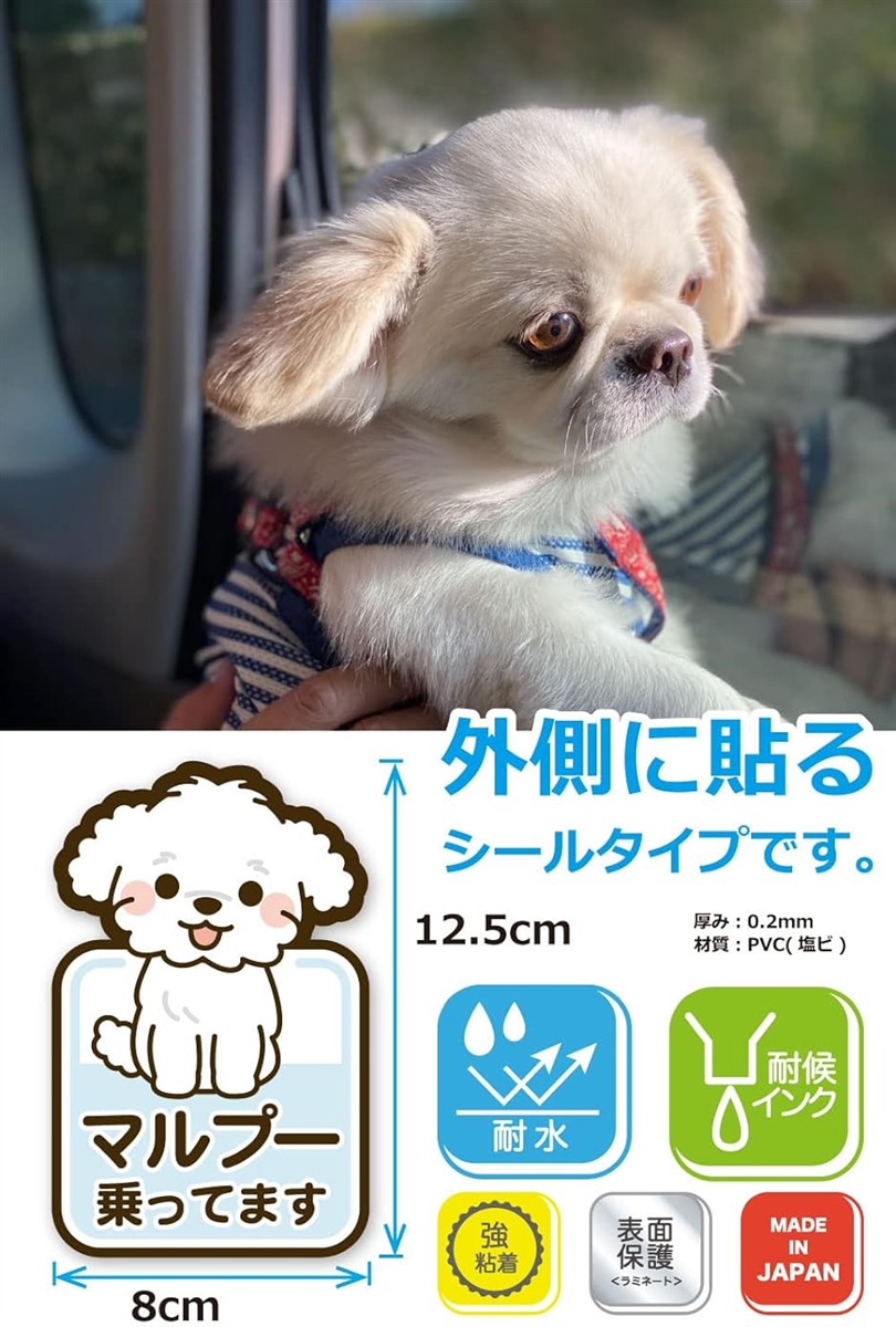 マルプー 乗ってます ステッカー 雑種 ミックス犬 ドッグインカー 日本製｜zebrand-shop｜03
