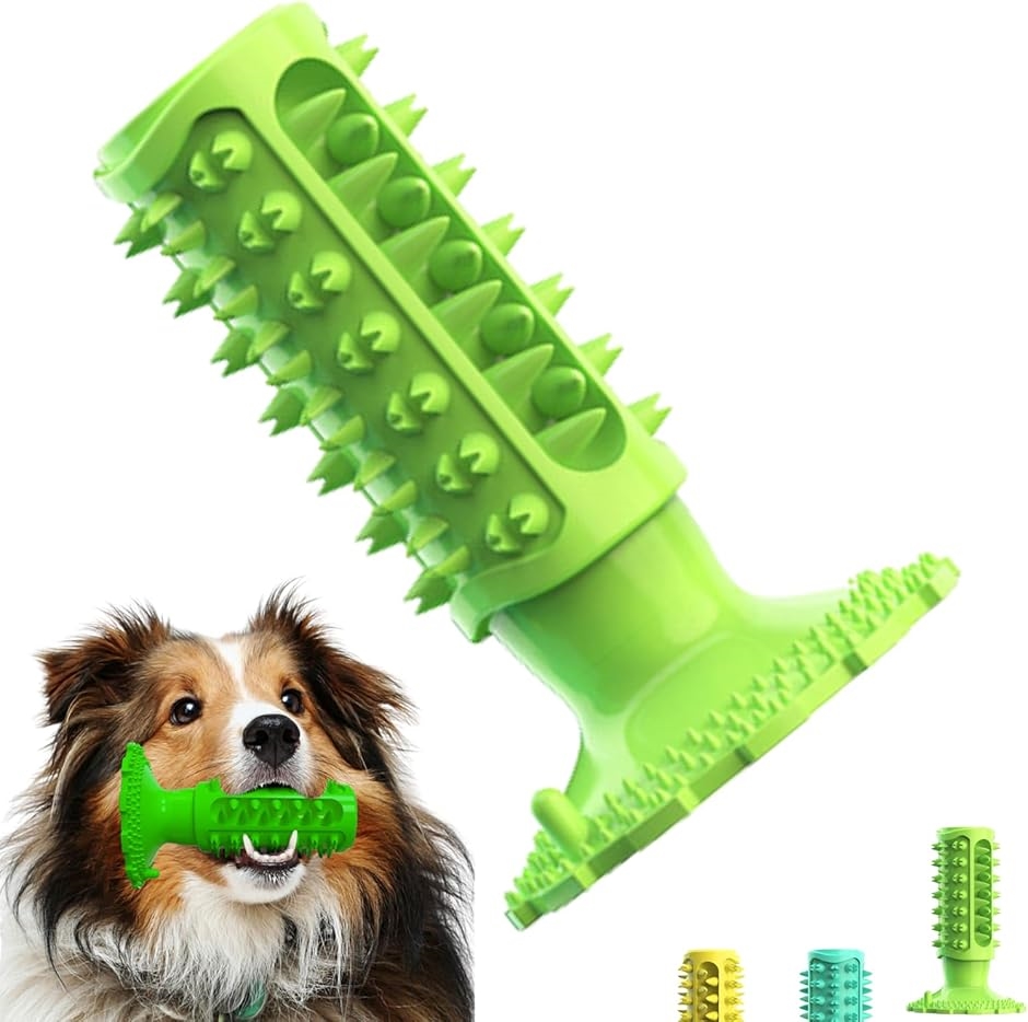 hbOgC f^PA ނ p XgX  uV p  Pߋ (Green)