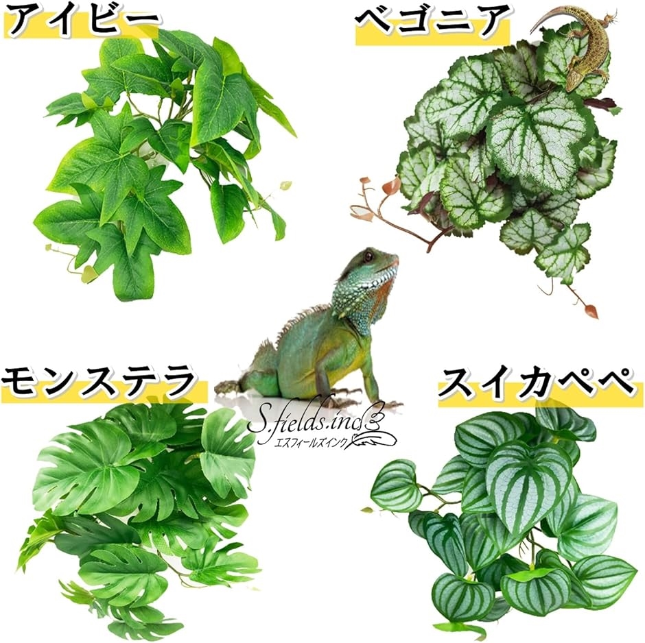 人工植物 爬虫類ケージ用 ビバリウム 水槽 葉 両生類 カメ カエル 吸盤付き ペット用品( アイビー) : 2bjid5r5ly :  ゼブランドショップ - 通販 - Yahoo!ショッピング