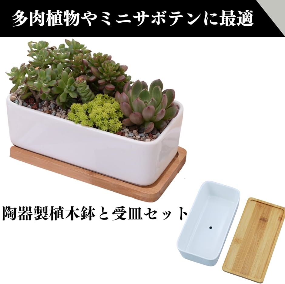 植木鉢 陶器 サボテン プランター容器 多肉植物用 陶器鉢 小型植物 排水穴 受け皿付き 通気性 園芸 インテリア 卓上( ホワイト) :  2bjir5nnoh : ゼブランドショップ - 通販 - Yahoo!ショッピング