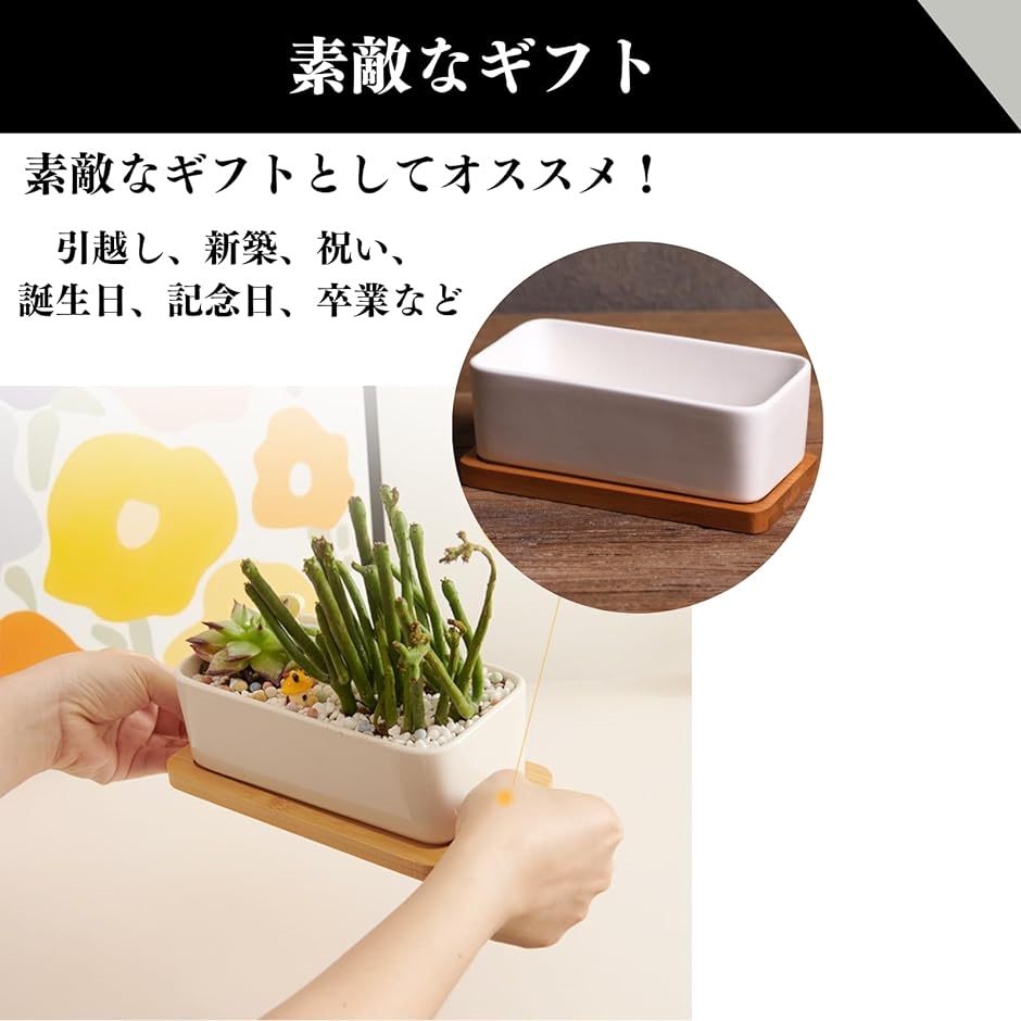 植木鉢 陶器 サボテン プランター容器 多肉植物用 陶器鉢 小型植物