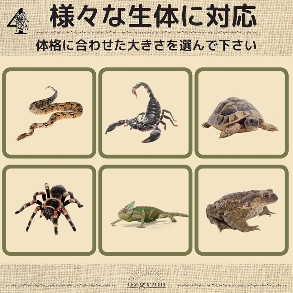 爬虫類 ケージ 90のおすすめ人気商品一覧 通販 - Yahoo!ショッピング