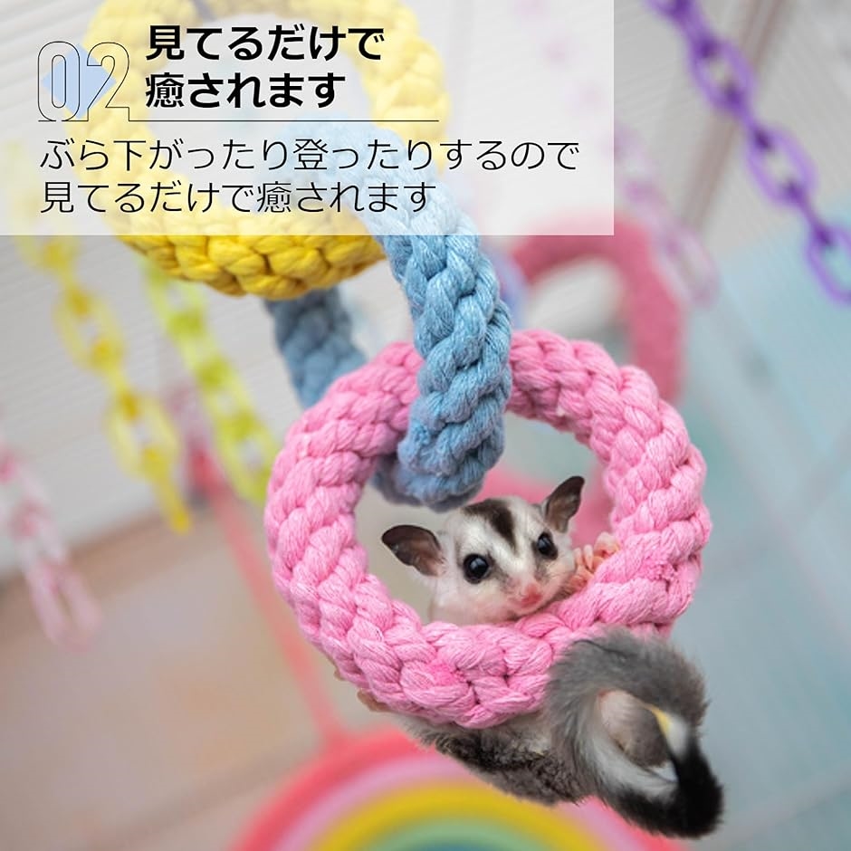 おもちゃ フクロモモンガ 遊び場 小動物 リング ペット用品 カラフル｜zebrand-shop｜04