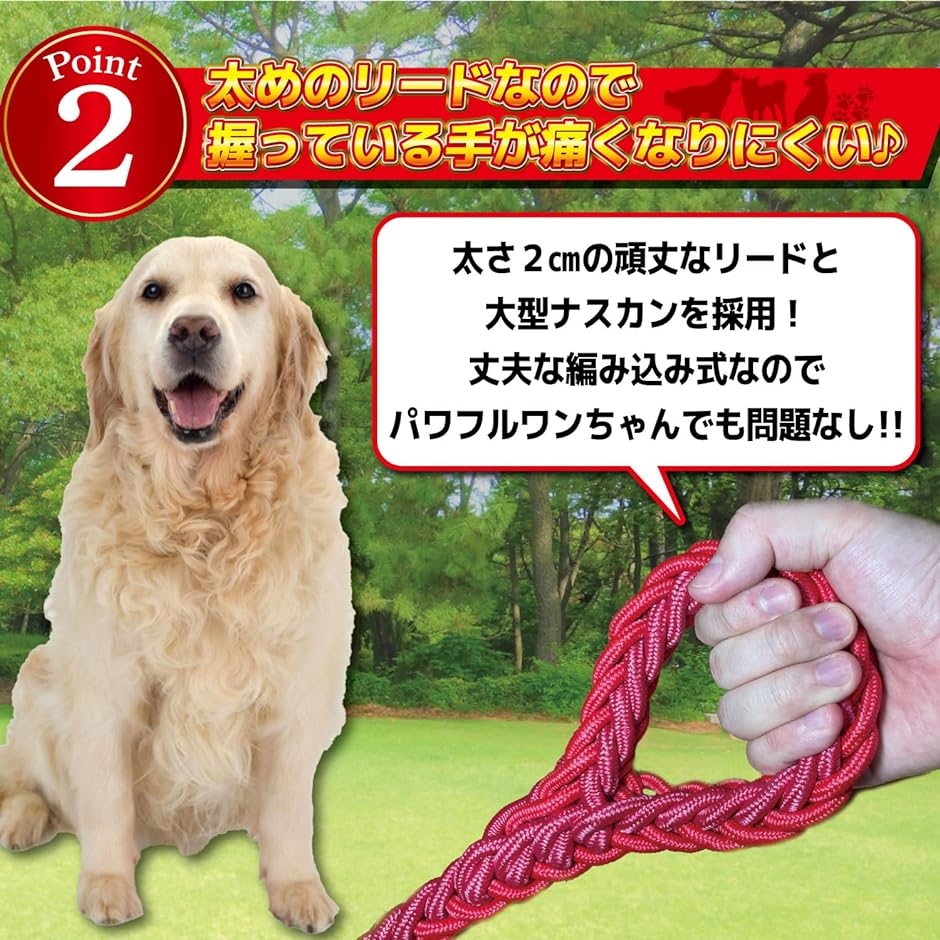 リード 中型 大型 首輪 付 ハーフ チョーク L サイズ 犬 ペット